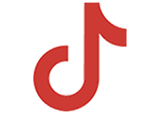 TikTok icon